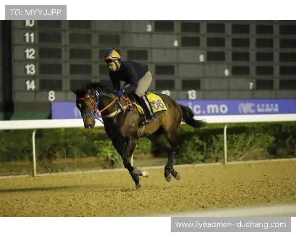 澳门赛马时间安排及比赛日程安排，帮助观众提前规划观看计划