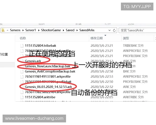 hkjc app真人版会员注册常见问题与解决方案全攻略助您顺利成为正式会员