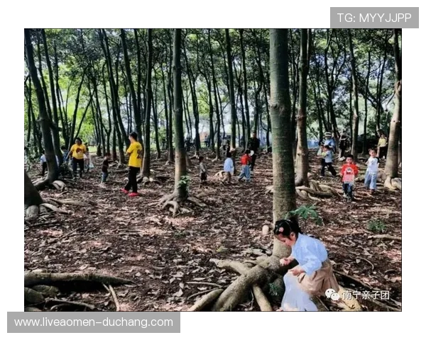 新濠真人：新濠真人游戏平台的优势与特色介绍