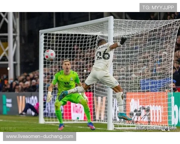 水晶宫官网2024年度新赛季球迷专属周边产品发布及购买指南全面解析