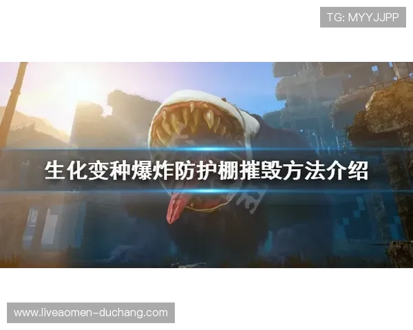 海洋之神登录下载安全防护技巧与账号保护策略