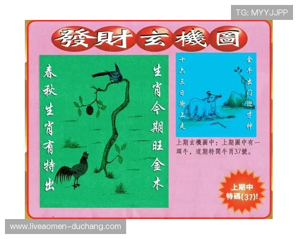 澳门彩彩平台注册流程详解，助您快速开启澳门购彩平台之旅