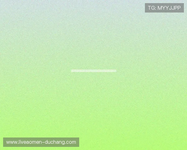 世界杯土耳其对美国比赛中停赛情况最新动态及相关球队应对策略